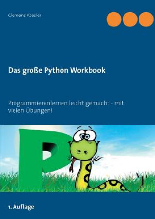 Knjiga grosse Python Workbook Clemens Kaesler