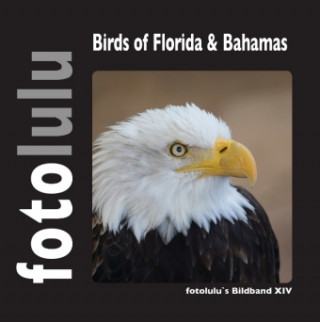 Kniha Birds of Florida & Bahamas fotolulu