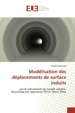 Książka Modélisation des déplacements de surface induits Djamila Bouayad