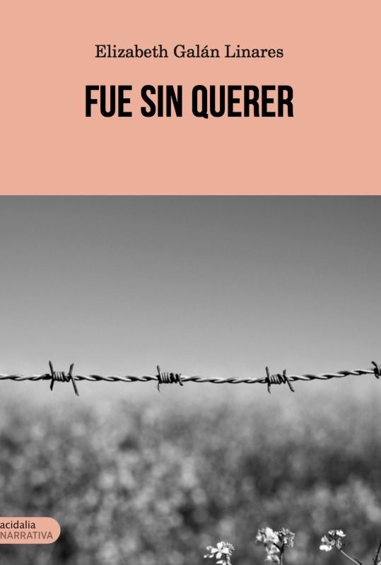 Kniha Fue sin querer 