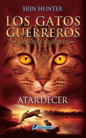 Buch Atardecer / Sunset Erin Hunter