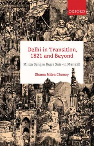 Knjiga Delhi in Transition, 1821 and Beyond Mirzaa