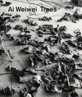 Kniha Ai Weiwei Katie Hill