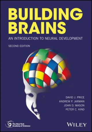 Buch Building Brains - An Introduction to Neural Development 2e David J. Price
