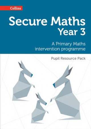 Kniha Secure Maths - Secure Year 3 Maths Pupil Resource Pack: A Primary Maths Intervention Programme Paul Hodge