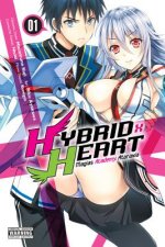 Könyv Hybrid x Heart Magias Academy Ataraxia, Vol. 1 (manga) Masamune Kuji