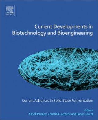 Książka Current Developments in Biotechnology and Bioengineering Ashok Pandey