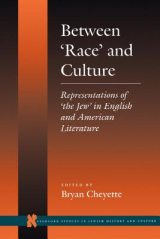 Kniha Between 'Race' and Culture Bryan Cheyette