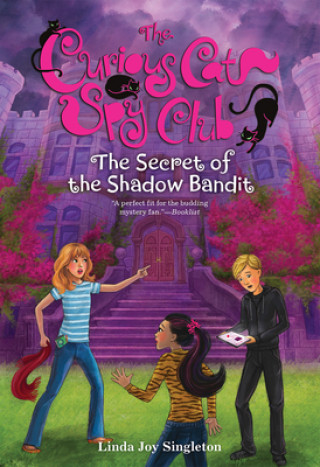 Könyv Secret of the Shadow Bandit Linda Joy Singleton