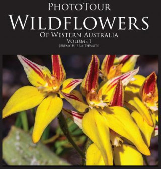 Könyv PhotoTour Wildflowers of Western Australia Vol1 Jeremy H Braithwaite