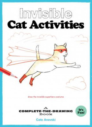 Buch Invisible Cat Activities Cate Anevski