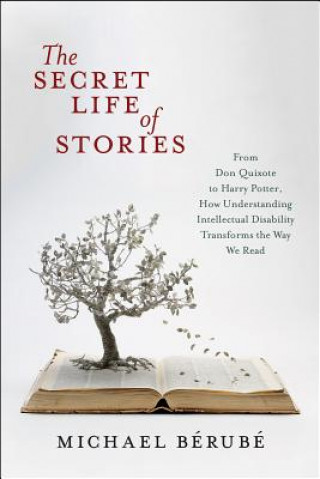 Kniha Secret Life of Stories Michael Berube
