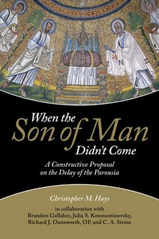 Carte When the Son of Man Didn't Come Christopher M. Hays
