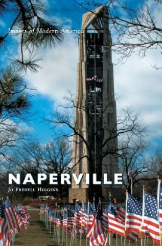 Book NAPERVILLE Jo Fredell Higgins