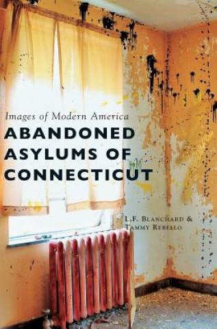 Kniha ABANDONED ASYLUMS OF CONNECTIC L. F. Blanchard