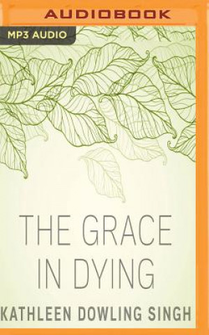 Audio The Grace in Dying Kathleen Dowling Singh