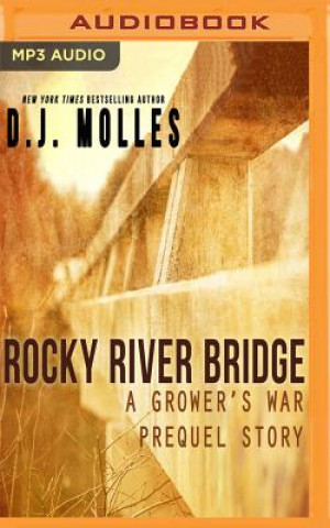 Audio ROCKY RIVER BRIDGE           M D. J. Molles