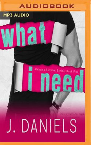 Audio WHAT I NEED                  M J. Daniels