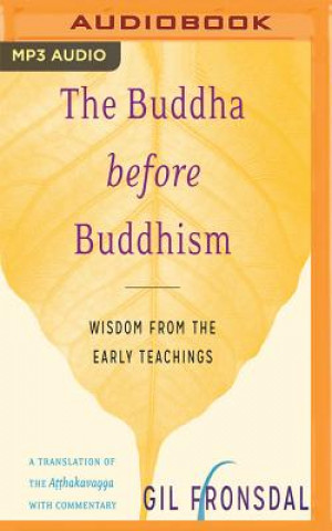 Audio The Buddha Before Buddhism: Wisdom from the Early Teachings Gil Fronsdal