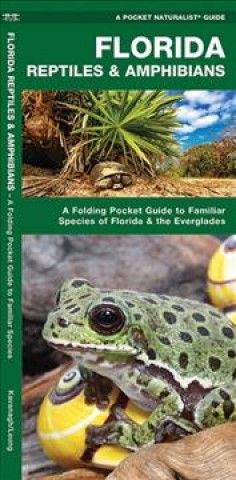 Könyv Florida Reptiles & Amphibians: A Folding Pocket Guide to Familiar Species of Florida & the Everglades James Kavanagh