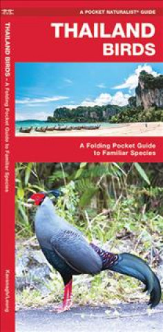 Kniha Thailand Birds James Kavanagh