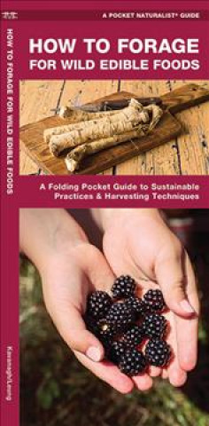 Książka Foraging for Wild Edible Foods: A Folding Pocket Guide to Sustainable Practices & Harvesting Techniques James Kavanagh