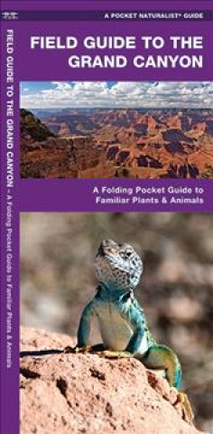 Könyv Field Guide to the Grand Canyon: A Folding Pocket Guide to Familiar Plants and Animals James Kavanagh