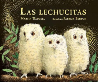 Kniha SPA-LECHUCITAS / OWL BABIES (S Martin Waddell