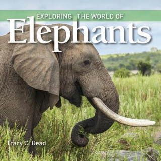 Kniha Exploring the World of Elephants Tracy Read