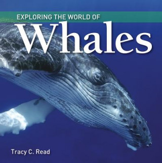 Carte Exploring the World of Whales Tracy Read