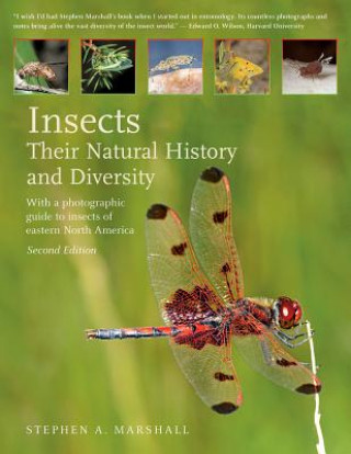 Книга Insects: Their Natural History and Diversity Stephen Marshall