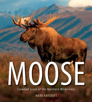 Könyv Moose: Crowned Giant of the Northern Wilderness Mark Raycroft