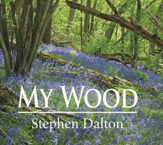 Kniha My Wood Stephen Dalton