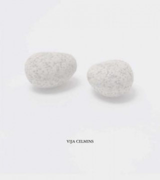 Boek Vija Celmins Vija Celmins