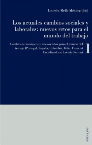 Könyv Los actuales cambios sociales y laborales Lourdes Mella Méndez