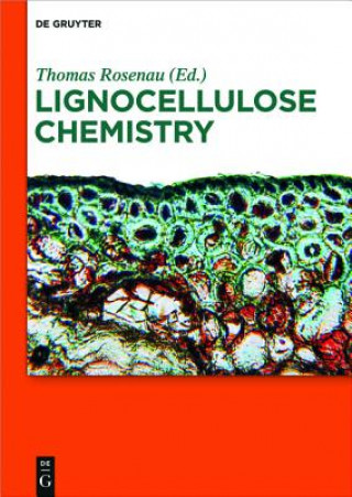 Kniha Lignocellulose Chemistry Thomas Rosenau