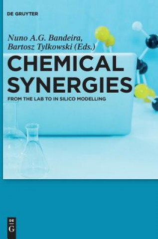 Kniha Chemical Synergies Nuno A. G. Bandeira