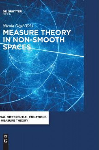 Kniha Measure Theory in Non-Smooth Spaces Nicola Gigli