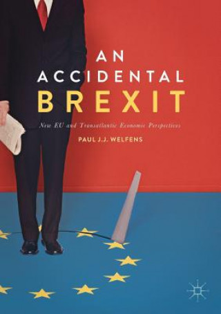 Kniha Accidental Brexit Paul J. J. Welfens