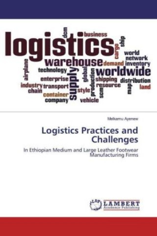 Kniha Logistics Practices and Challenges Melkamu Ayenew