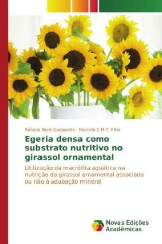 Carte Egeria densa como substrato nutritivo no girassol ornamental Rafaela Neris Gaspareto