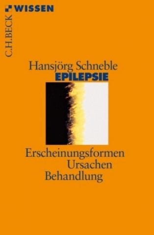 Kniha Epilepsie Hansjörg Schneble