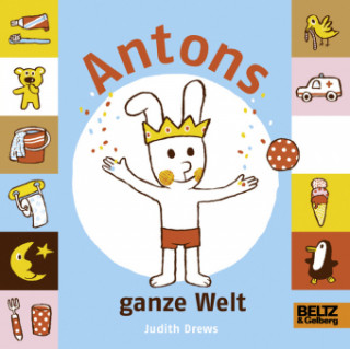 Book Antons ganze Welt Judith Drews