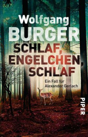 Kniha Schlaf, Engelchen, schlaf Wolfgang Burger