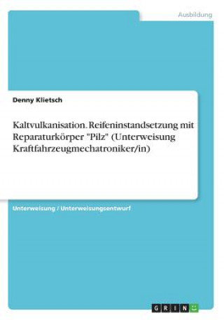 Книга Kaltvulkanisation. Reifeninstandsetzung mit Reparaturkörper "Pilz" (Unterweisung Kraftfahrzeugmechatroniker/in) Denny Klietsch