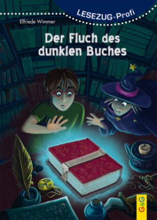 Kniha LESEZUG/Profi: Der Fluch des dunklen Buches Elfriede Wimmer