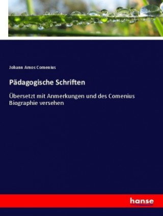 Książka Padagogische Schriften Johann Amos Comenius