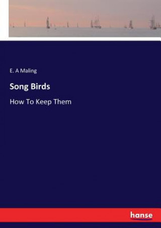 Könyv Song Birds E. A Maling