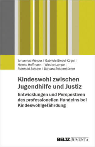 Carte Kindeswohl zwischen Jugendhilfe und Justiz Johannes Münder