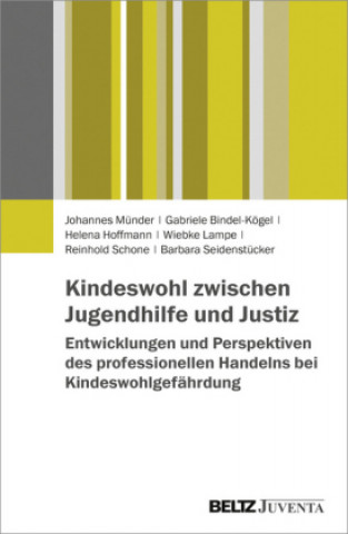 Kniha Kindeswohl zwischen Jugendhilfe und Justiz Johannes Münder